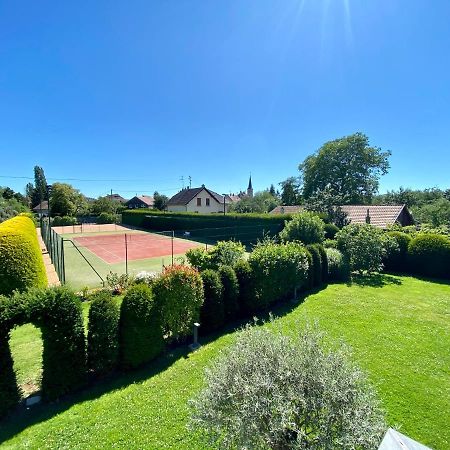 Bed and Breakfast Ma Vie Là Alsace Kingersheim Esterno foto